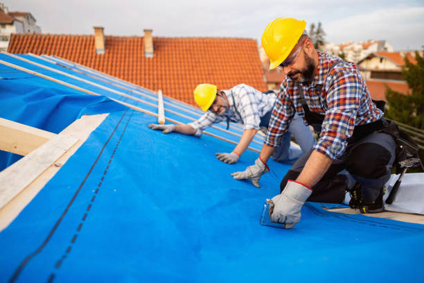 Best Roof Gutter Cleaning  in Williamstown, KY